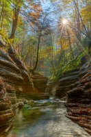 Herbstlicht im Taugelbach Canyon